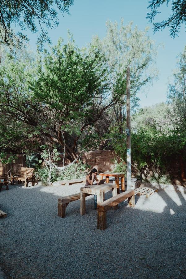Vientos - La Yareta Guest House San Pedro de Atacama Eksteriør bilde